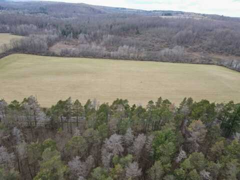 VL Lot 03 County Route 10A, Cameron, NY 14819