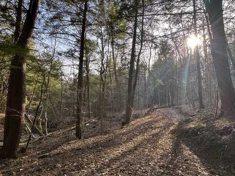 7636 B  Rt 19 A, Portageville, NY 14536