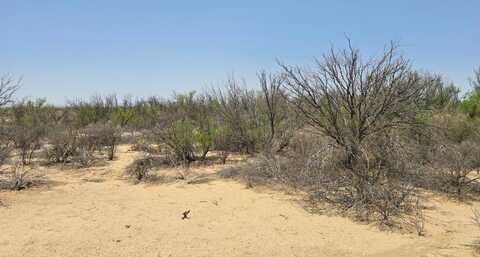 551 Spock Rd, Terlingua, TX 79852