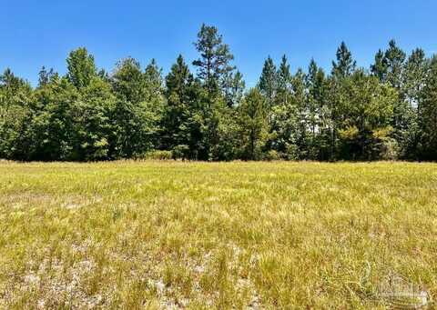 Lot 48 Mineral Springs Rd, Jay, FL 32565