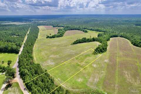 Lot 50 Mineral Springs Rd, Jay, FL 32565