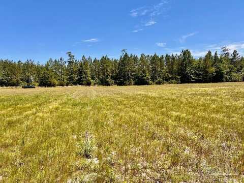 Lot 50 Mineral Springs Rd, Jay, FL 32565