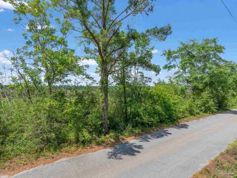 Lot 2 Sid Hayes Rd, Jay, FL 32565