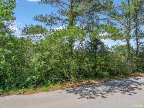 Lot 1 Sid Hayes Rd, Jay, FL 32565