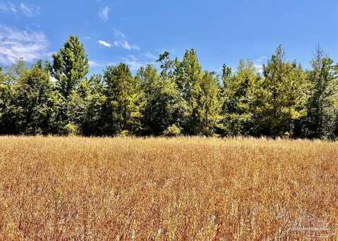 Lot 56 Mineral Springs Rd, Jay, FL 32565