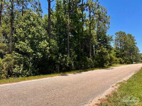 Lot 51 Mineral Springs Rd, Jay, FL 32565