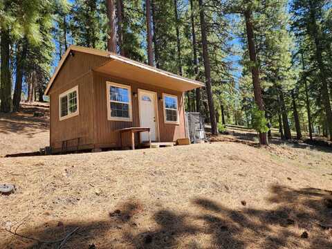 69433 Porcupine Road, Graeagle, CA 96103