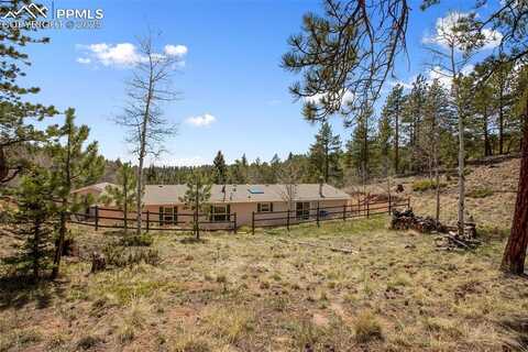 1011 W Bison Creek Trail, Divide, CO 80814