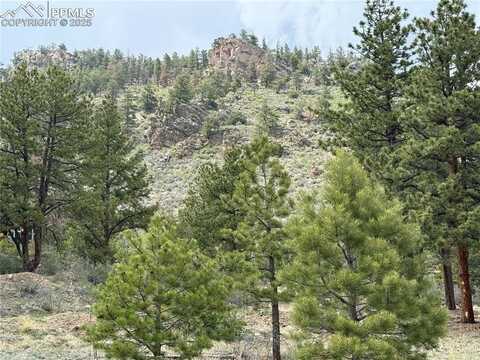 202 County Road, Lake George, CO 80827