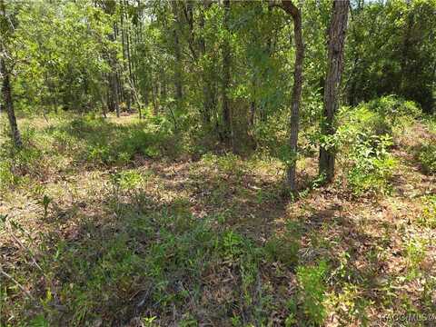 13 Spruce Pine Court S, Homosassa, FL 34446