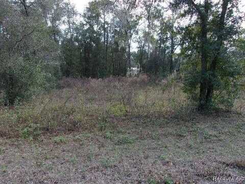 6700 E Haynes Lane, Inverness, FL 34452