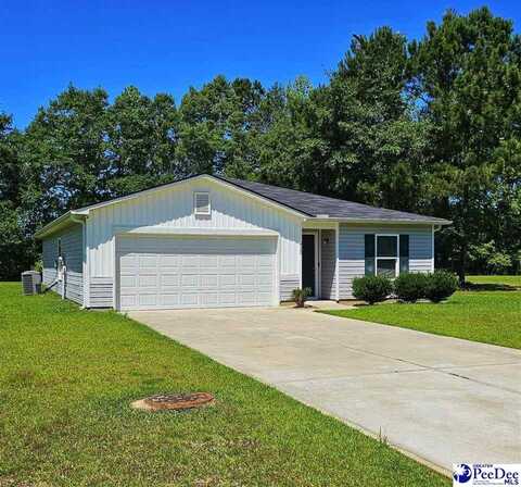 822 Twin Oaks Circle, Lake City, SC 29560