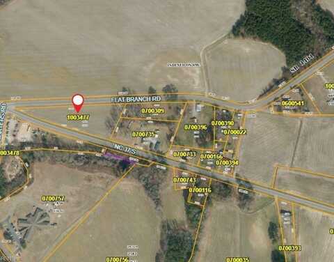 TBD Flat Branch Road, Gatesville, NC 27938