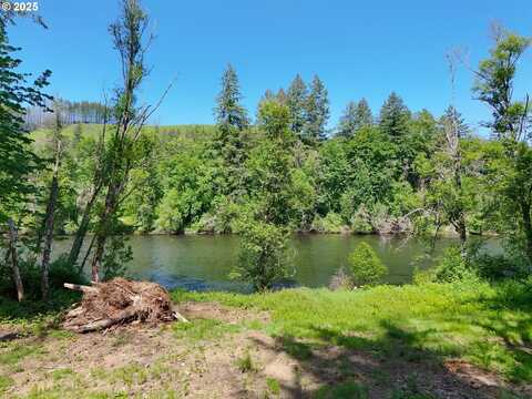 Goodpasture RD, Vida, OR 97488