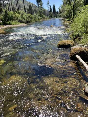 91303 BLUE RIVER RD, Blue River, OR 97413