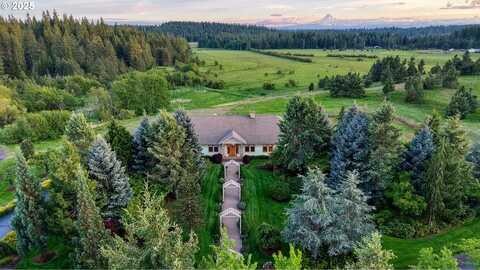 986 SNOWDEN RD, White Salmon, WA 98672