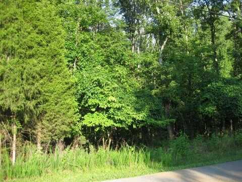 Lot 32 Old Mill DR, Hardy, VA 24101