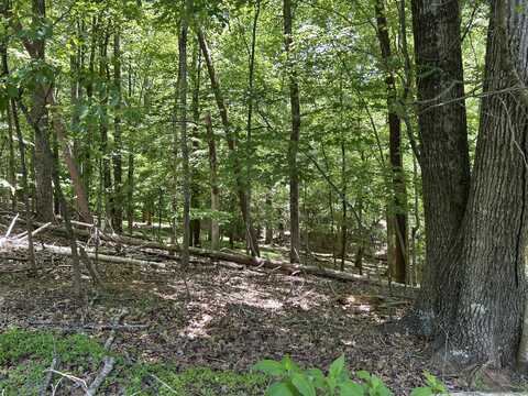 Lot 40 Old Mill DR, Hardy, VA 24101