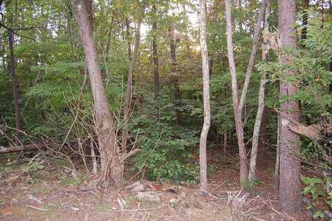 undefined, Moneta, VA 24121