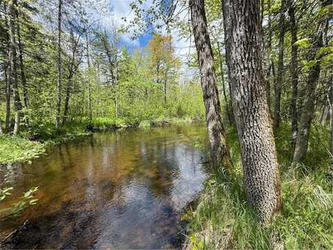 51791 Riverside Lane, Dell, MN 55072