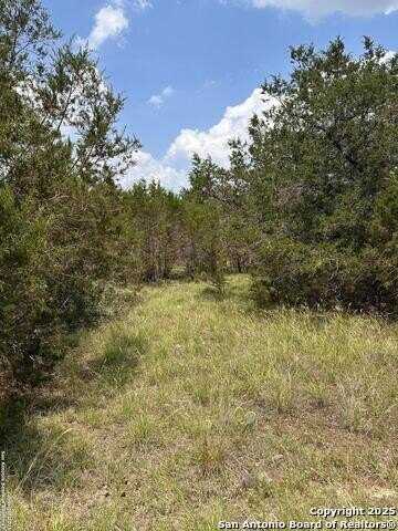 811 Turkey Canyon, Spring Branch, TX 78070