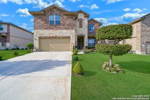 717 SMOOTH WINE, Cibolo, TX 78108