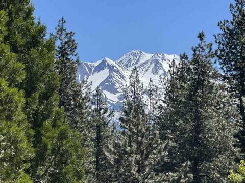 Dog Wood Drive, Weed, CA 96094