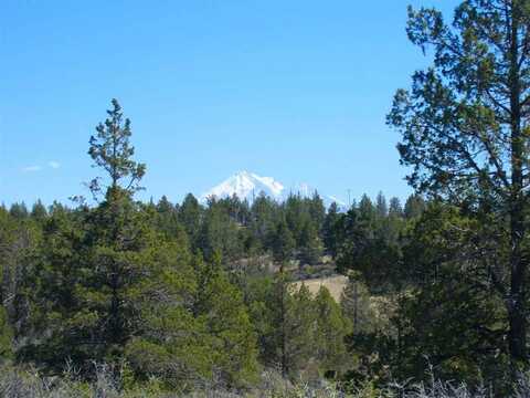 21.6 acres Canary Lane, Hornbrook, CA 96044