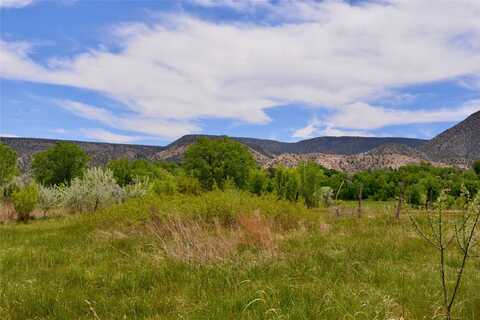 Lots 1 & 2 off of CR-162, Abiquiu, NM 87510