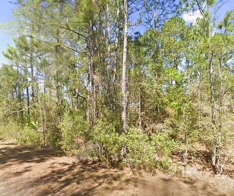306 Carteret Rd, Georgetown, FL 32139