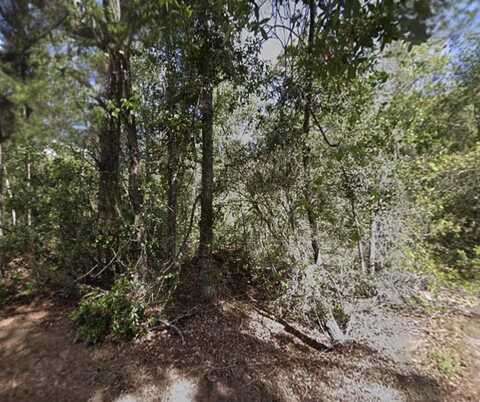 116 Terri Ave, Georgetown, FL 32139