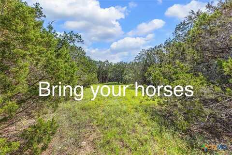2453 S Rainbow Ranch Road, Wimberley, TX 78676