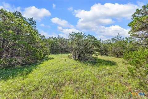 2453 S Rainbow Ranch Road, Wimberley, TX 78676