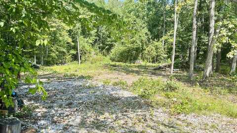 106 Thorn Ridge Lane, Pelzer, SC 29669