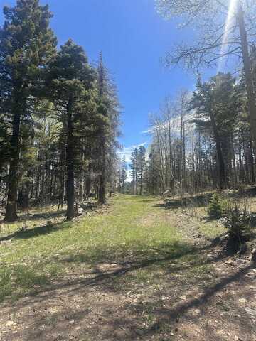 Lot 86 Elk Horn Drive, Angel Fire, NM 87710