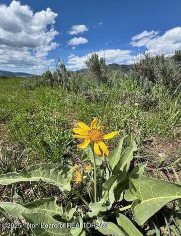 Lot 73 SNAKE RIVER DRIVE, Alpine, WY 83128