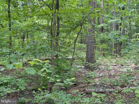 Lot 12 RACCOON DRIVE, WINCHESTER, VA 22602