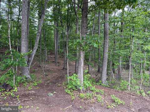 Lot 15 PANTHER DRIVE, WINCHESTER, VA 22602