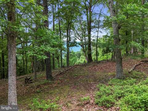 LOT 1 ISLAND RIDGE ROAD, PURGITSVILLE, WV 26852