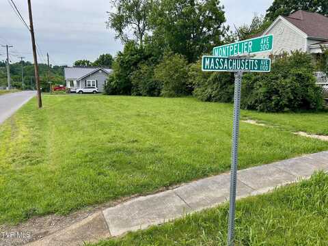 0 Massachusetts Ave, Bristol, VA 24201
