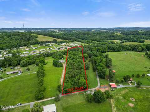 000 Keller Drive, White Pine, TN 37890