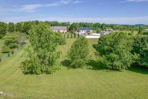 2063 Buttercup Lane, Limestone, TN 37681