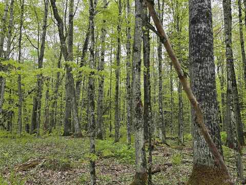 Lot 37 Yellow, Nisula, MI 49952