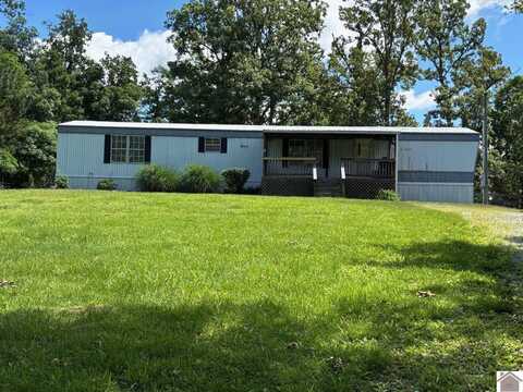 651 KY 810 S, Kuttawa, KY 42055