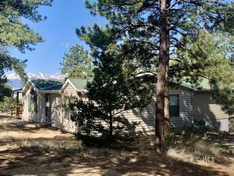 1335 Sangre Dr, Westcliffe, CO 81252