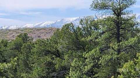TBD L 20th Trail, Cotopaxi, CO 81223