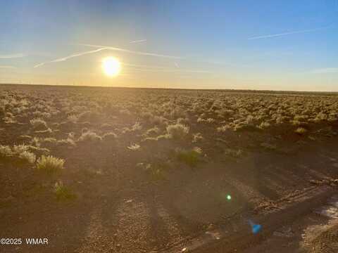 Tbd Hodges Ln 39.05 Acres, Holbrook, AZ 86025