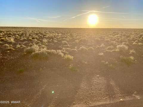 Tbd Hodges Ln 39.05 Acres, Holbrook, AZ 86025