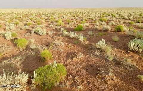 Tbd Hodges Ln 39.05 Acres, Holbrook, AZ 86025