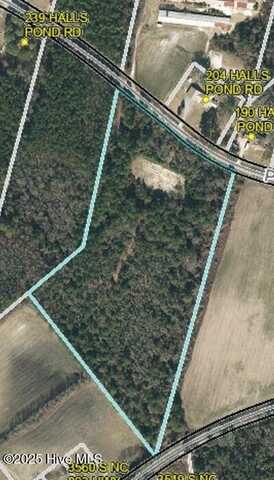 0 Halls Pond Road, Rose Hill, NC 28458